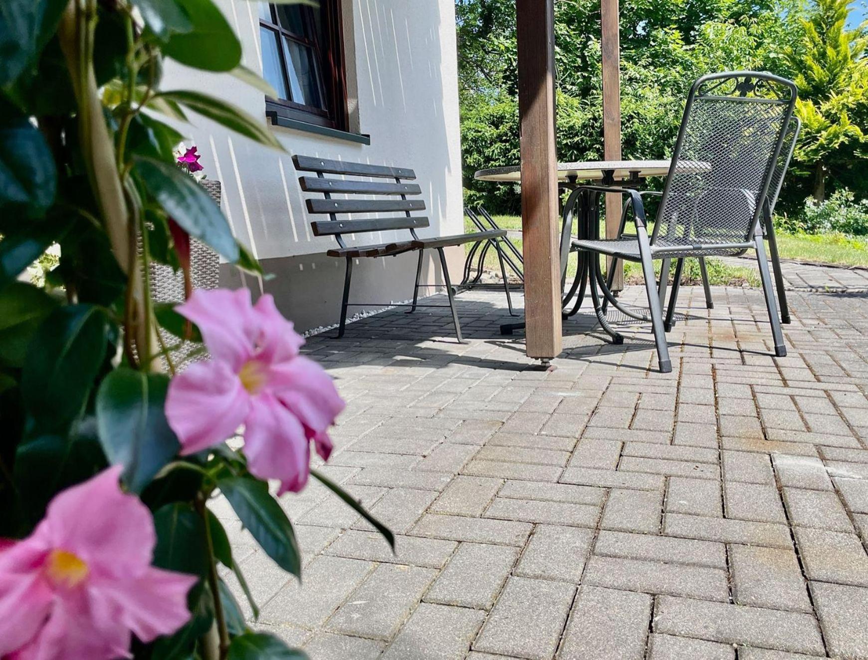 Ferienwohnung-Am-Suedhang Muglitztal Eksteriør bilde