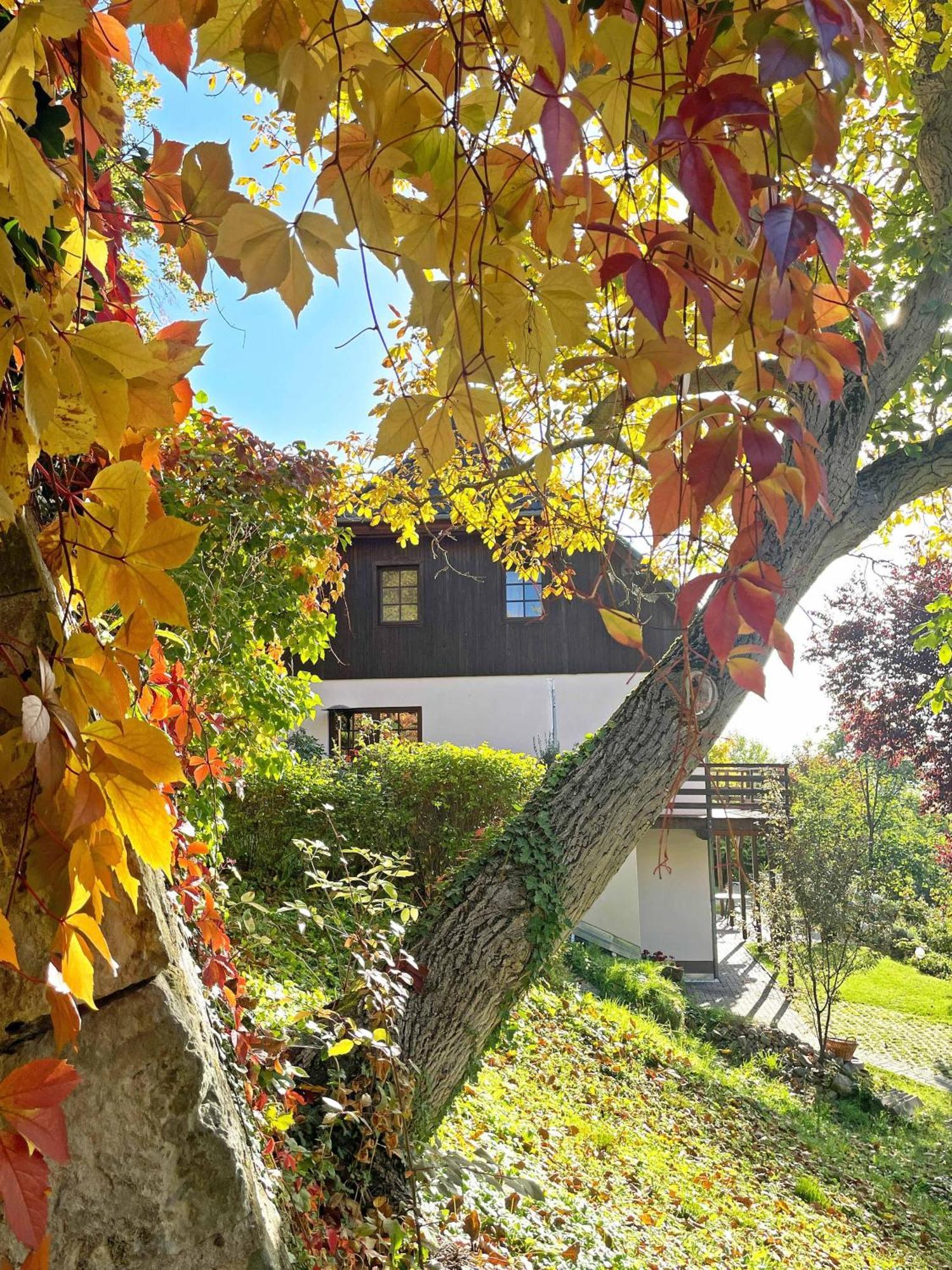Ferienwohnung-Am-Suedhang Muglitztal Eksteriør bilde
